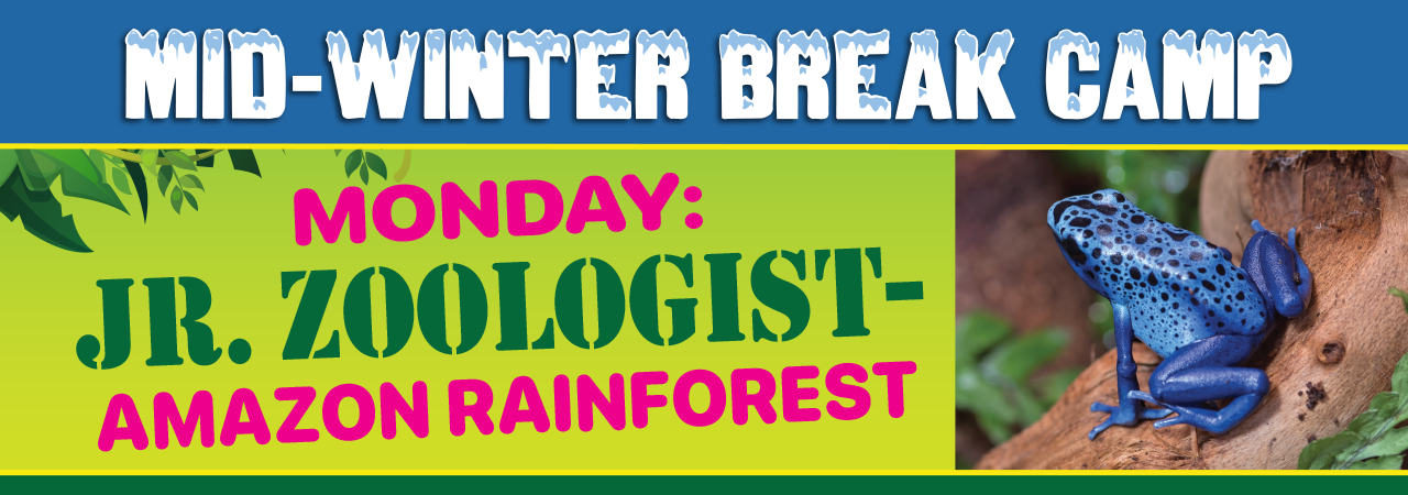 Midwinter camp 2024 amazon carousel 1280x450(2)