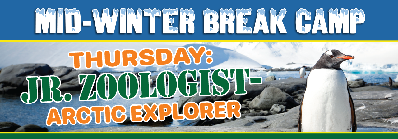 Midwinter camp 2024 arctic carousel 1280x450(2)