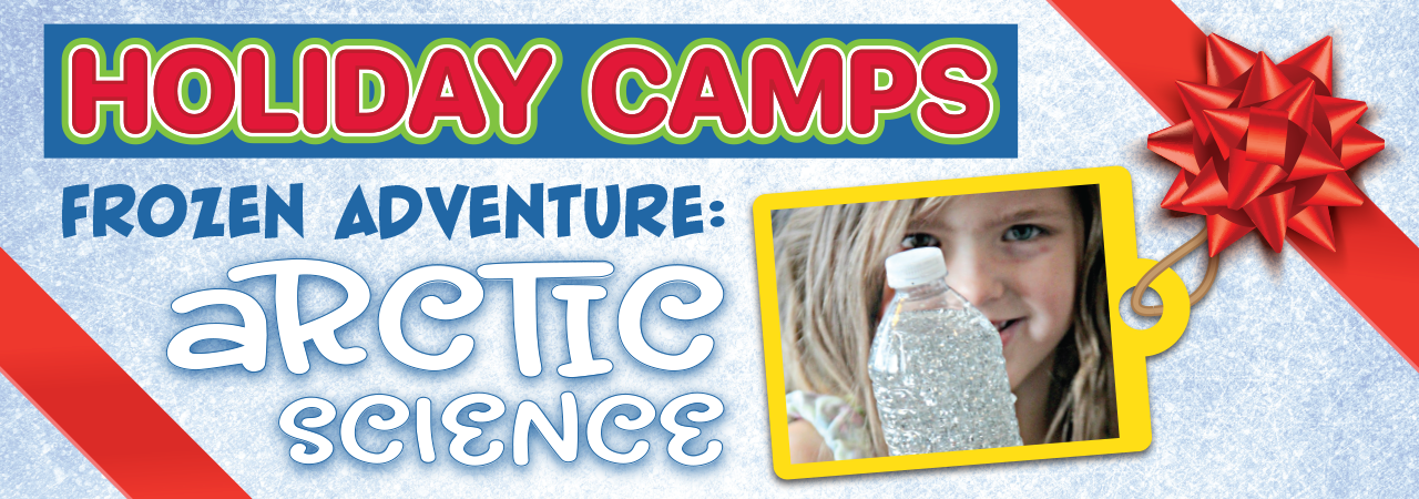 Holiday camps arctic science carousel 1280x450 2 