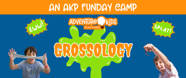 Grossology funday calendar 380 x 160
